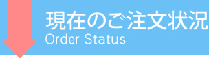 ꥢ륿ʸ
