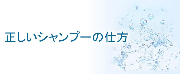QZシリーズ 商品の違い