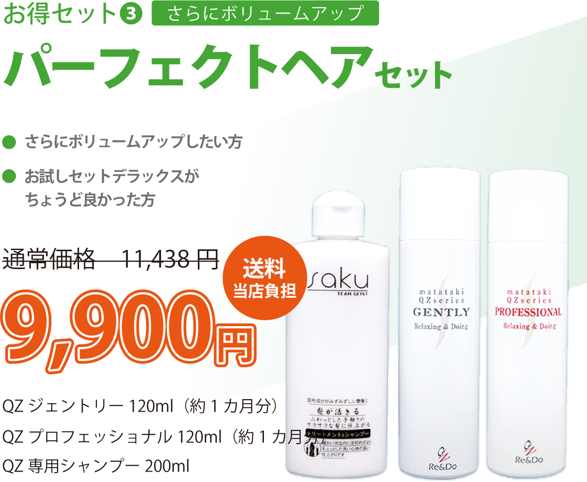 パーフェクトヘアセット